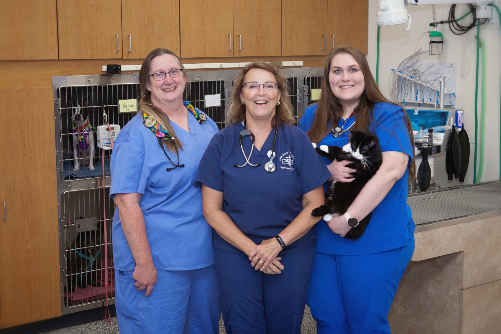 Emergency vet and staff of the animal hospital in Lincoln, NE