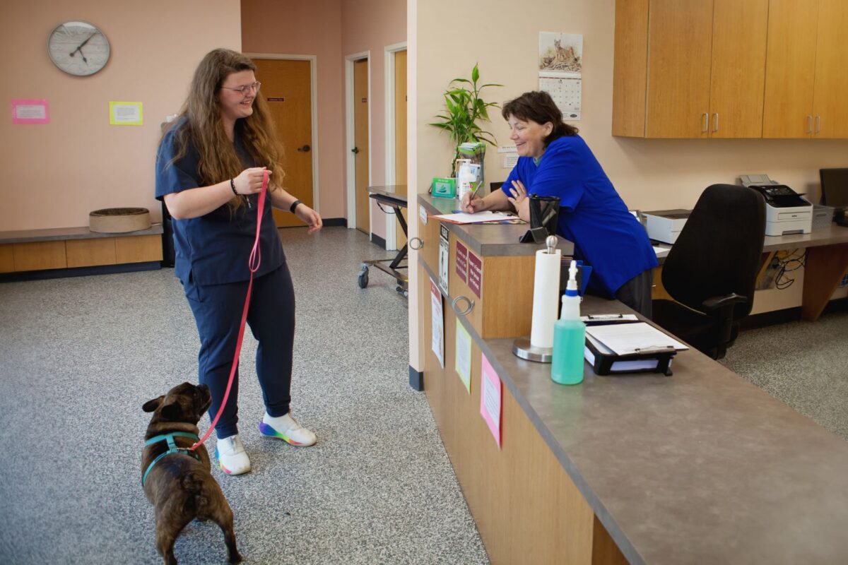 What to Expect Veterinary Emergency Services of Lincoln