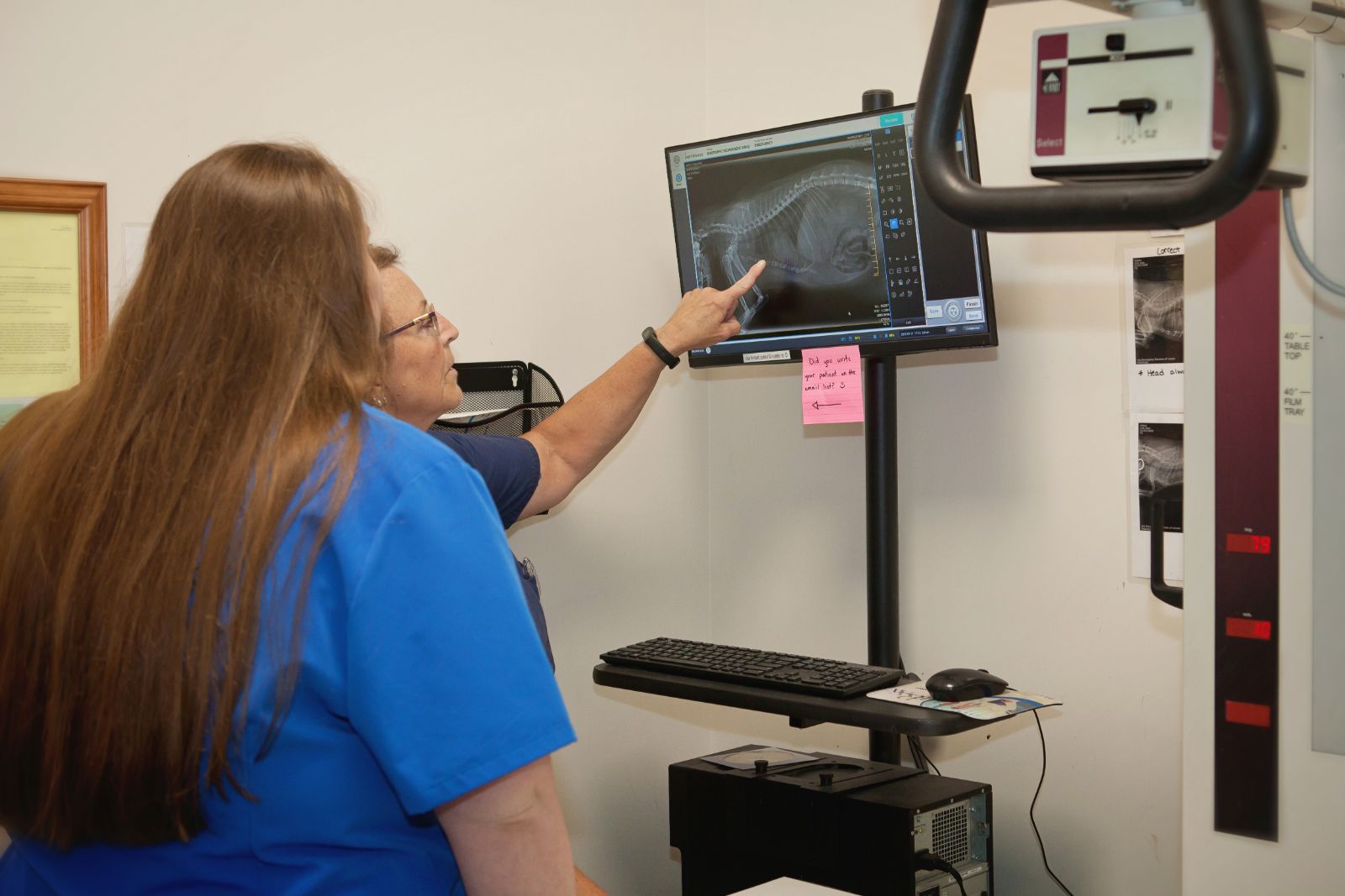 Vet and staff member looking at pet radiology scans in Lincoln, NE