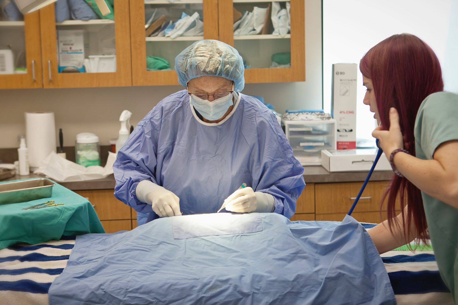 Emergency vet performing surgery on a patient in Lincoln, NE