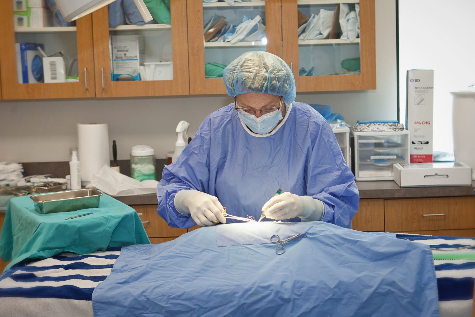 Vet performing pet surgery in Lincoln, NE