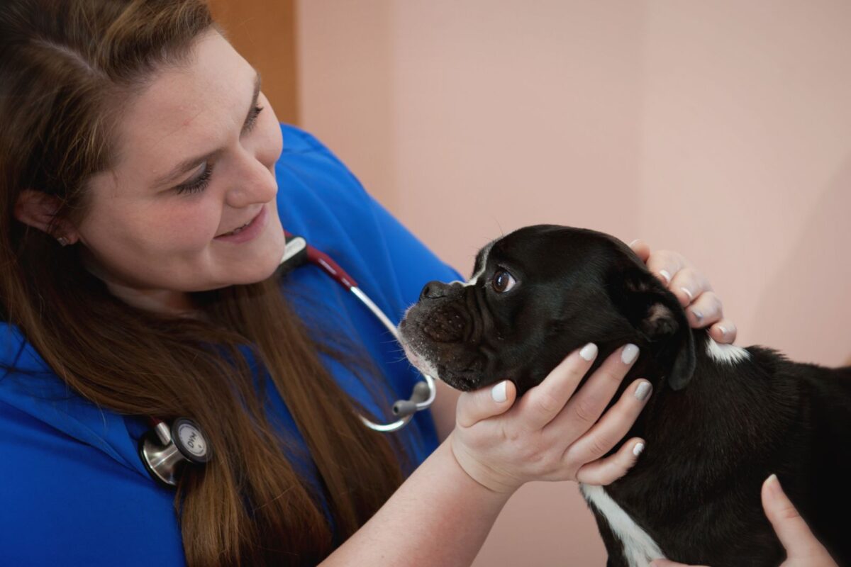 Emergency Vet in Lincoln, NE Animal Hospital in Lincoln, NE